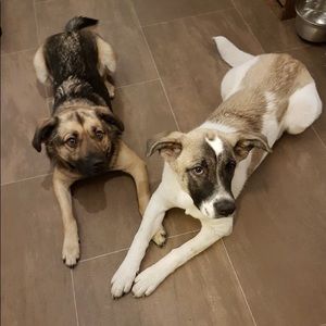 Meet your Posher, Verity